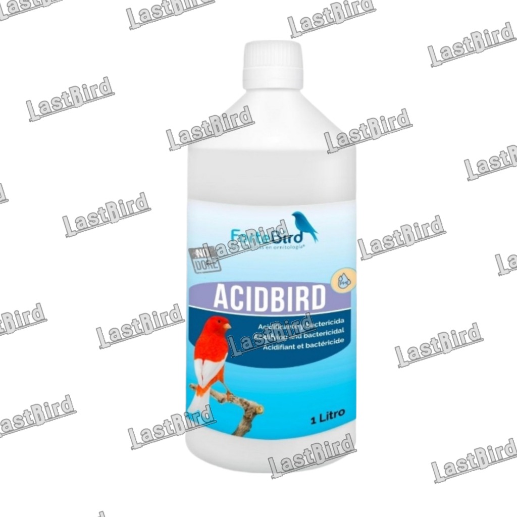اسیدی فایر ACIDBIRD فورت برد اسپانیا