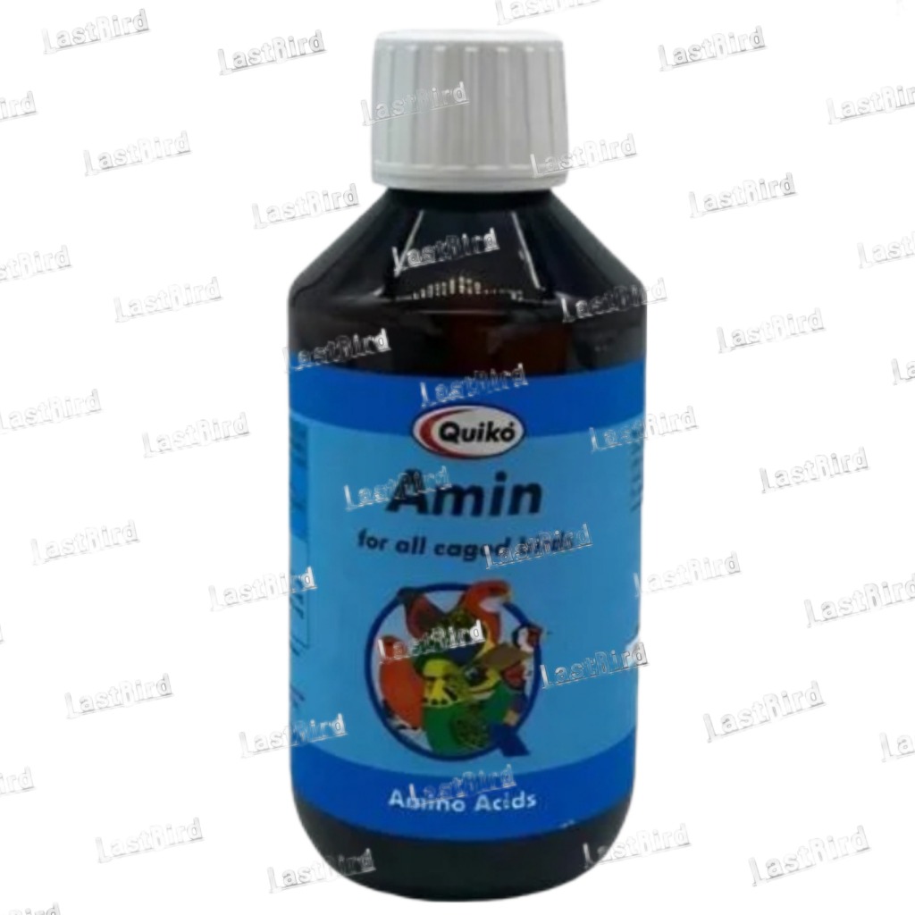 آمینواسیدها ضروری AMINO کویکو آلمان