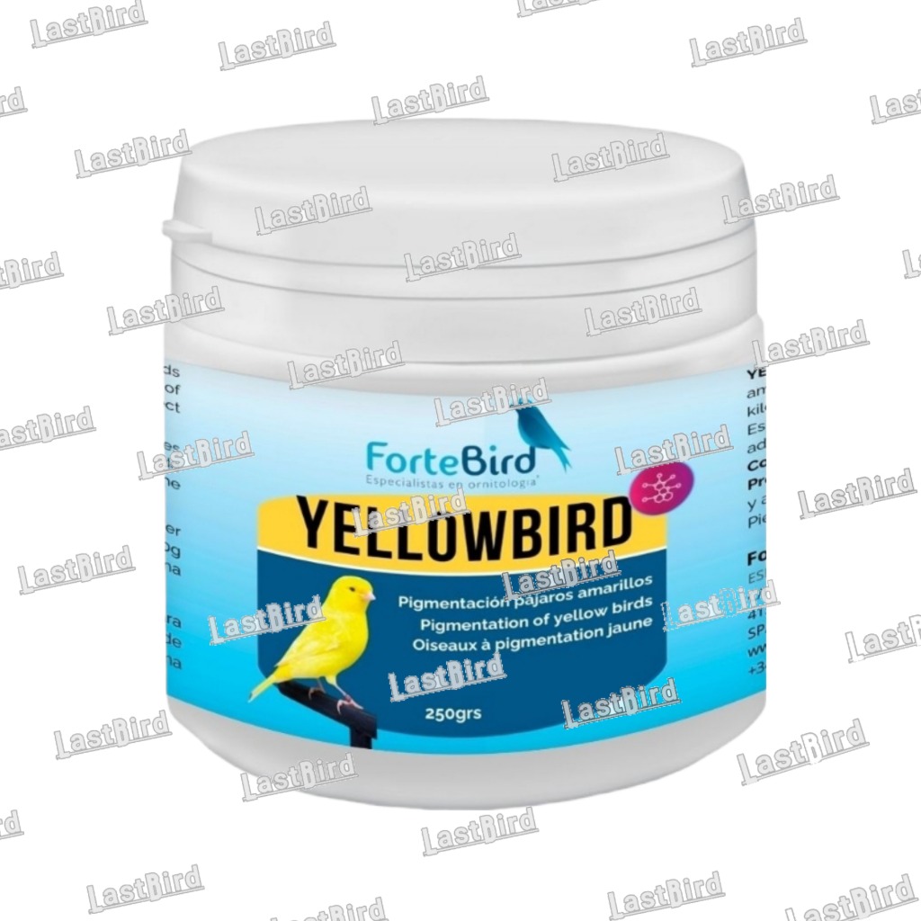 رنگدانه زرد YELLOWBIRD فورت برد اسپانیا