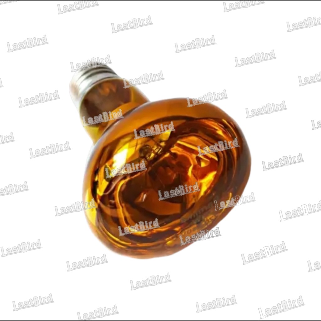 لامپ مادرمصنوعی 40 وات