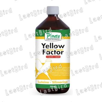 رنگدانه زرد قناری Yellow Factor پینتا ایتالیا