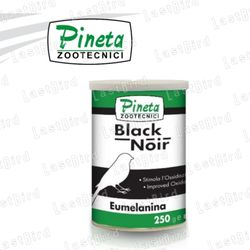 رنگدانه مشکی پرنده Black Noir پینتا ایتالیا
