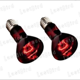 لامپ مادرمصنوعی بسته 2 عددی | حرارتی 40 وات | رفلکتور