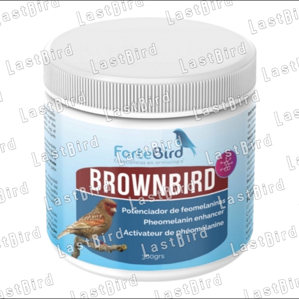 رنگدانه قهوه ای BROWNBIRD فورت برد اسپانیا