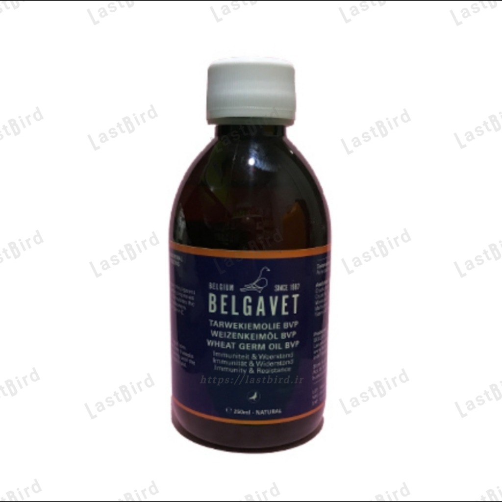 روغن WHEAT GERM بلگاوت بلژیک «تقویت نطفه پرنده»