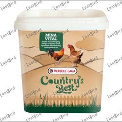 Cauntry's Best بذر شلغم ورسلاگا بلژیک (یکبار سورت شده)