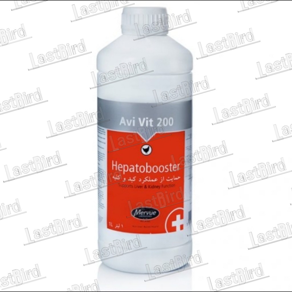 کلیه و کبدشور هپاتوبوستر Hepatobooster ایرلند