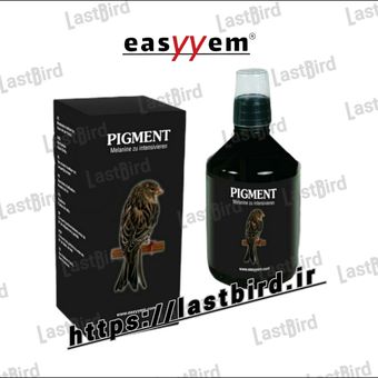 محلول رنگدانه مشکی پرنده PIGMENT ایزیم آلمان
