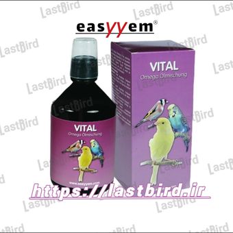 ویتال مولتی ویتامین VITAL ایزیم آلمان
