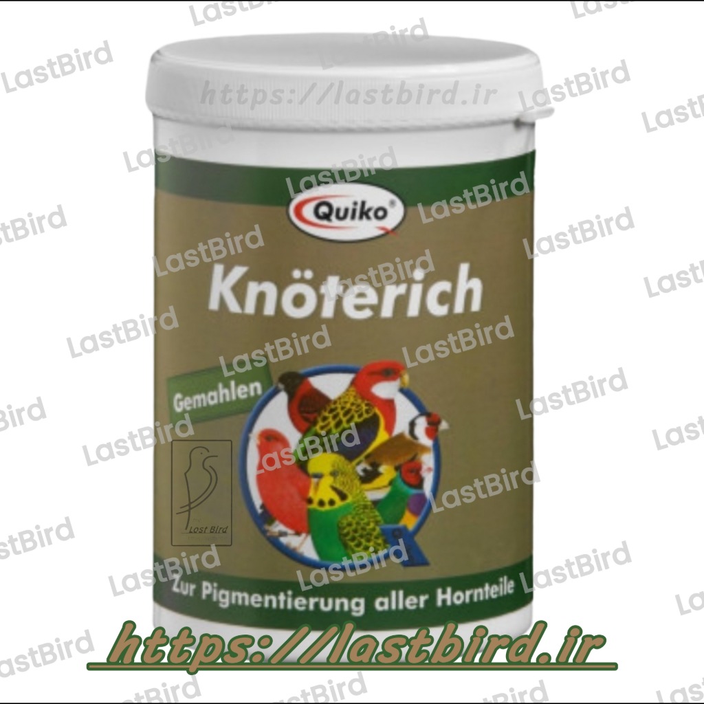 تقویت رنگ پر پرندگان Knoterich کویکو آلمان