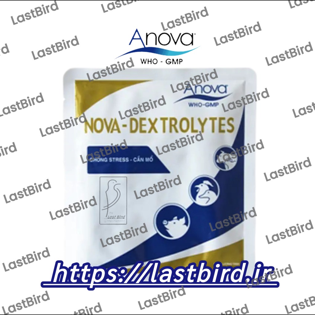 نووا دکسترولایتس _ Nova Dextrolytes