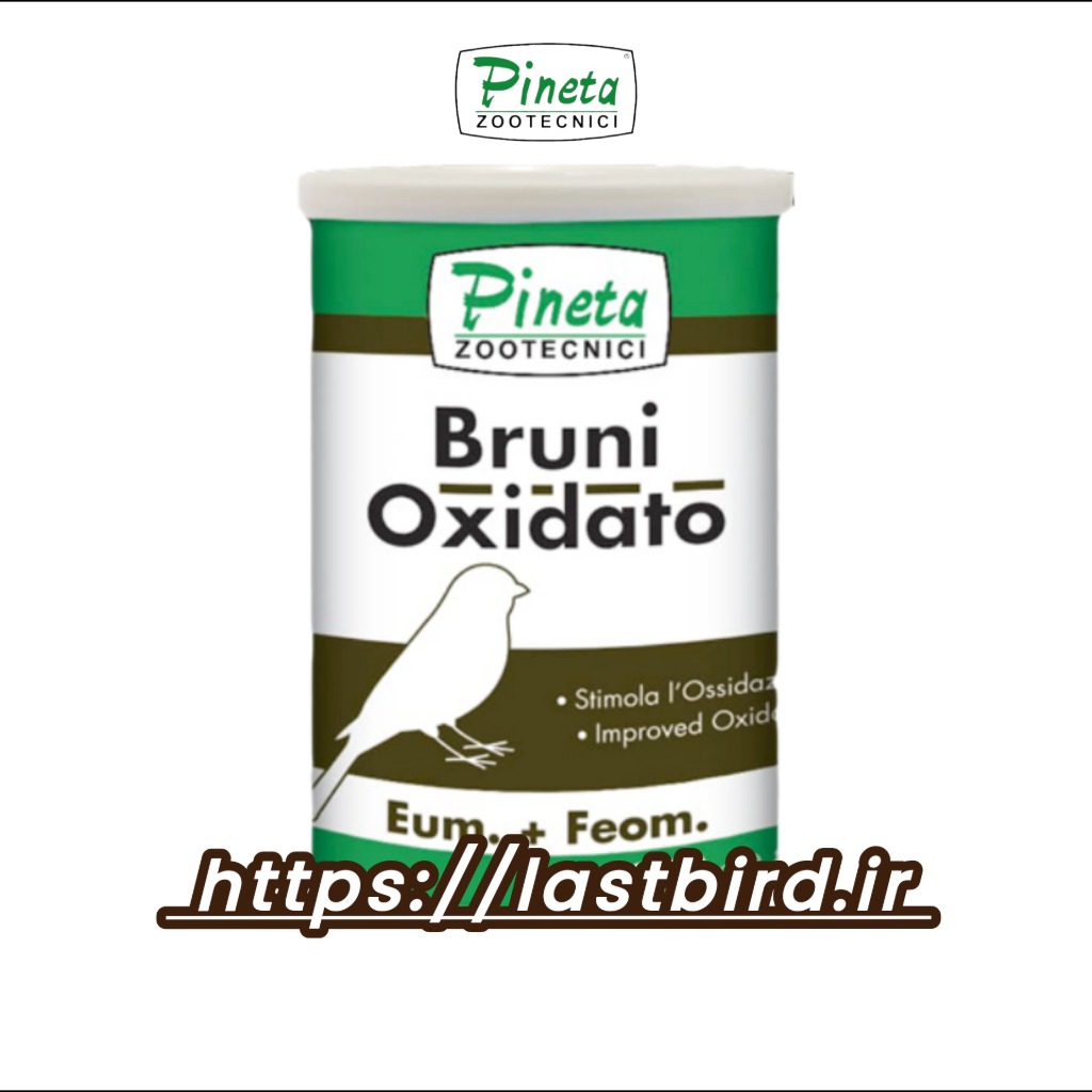 رنگدانه قهوه‌ای Bruni Oxidato پینتا ایتالیا