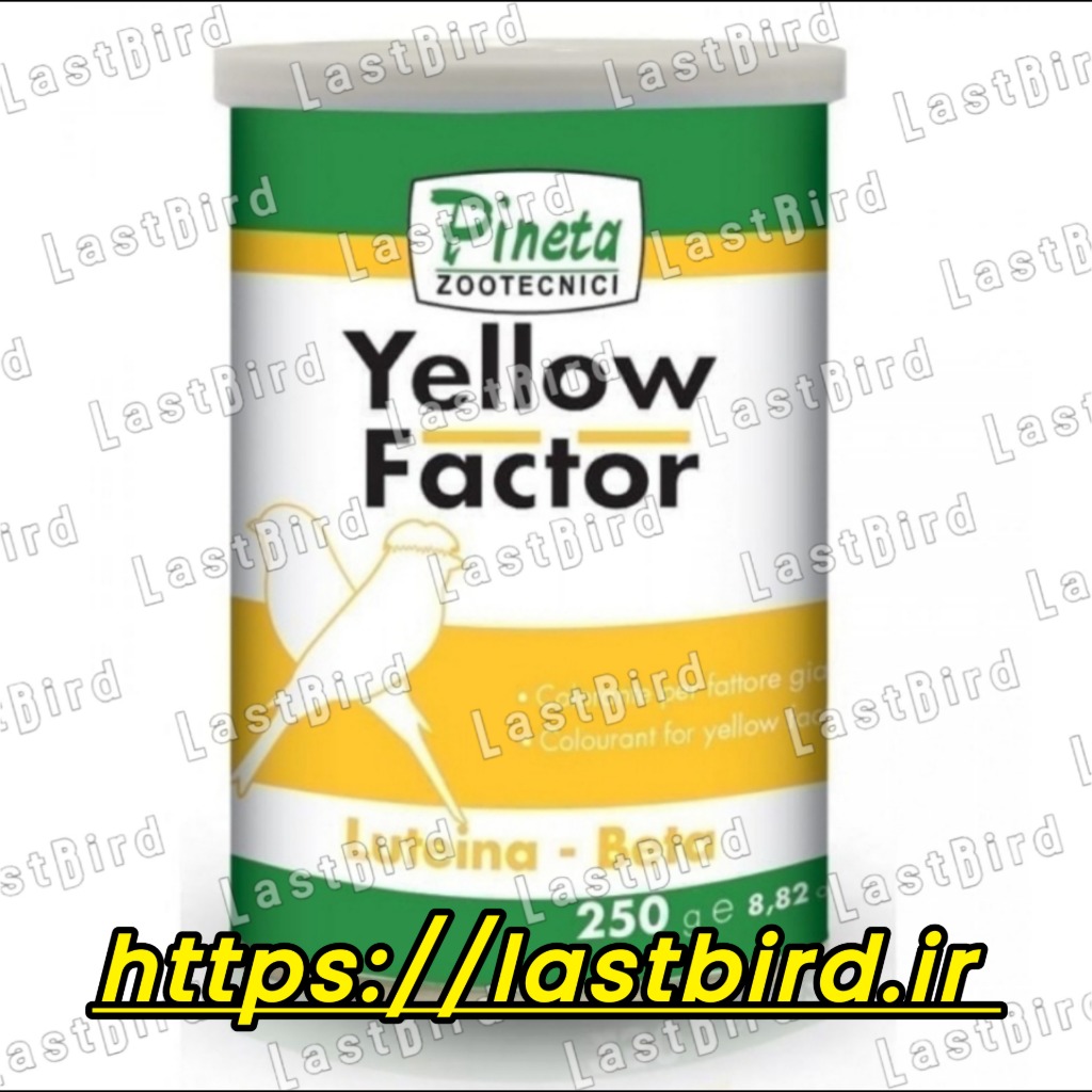 رنگدانه زرد Yellow Factor پینتا ایتالیا | یلو فکتور | رنگدانه پرندگان