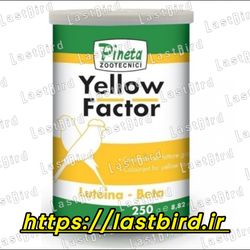 رنگدانه زرد Yellow Factor پینتا ایتالیا | یلو فکتور | رنگدانه پرندگان