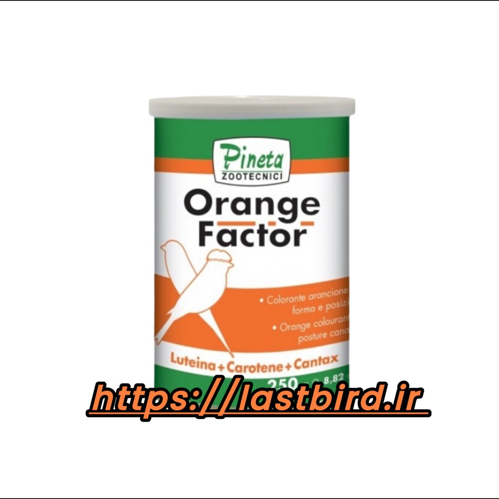 رنگدانه نارنجی ORANGE FACTOR پینتا ایتالیا