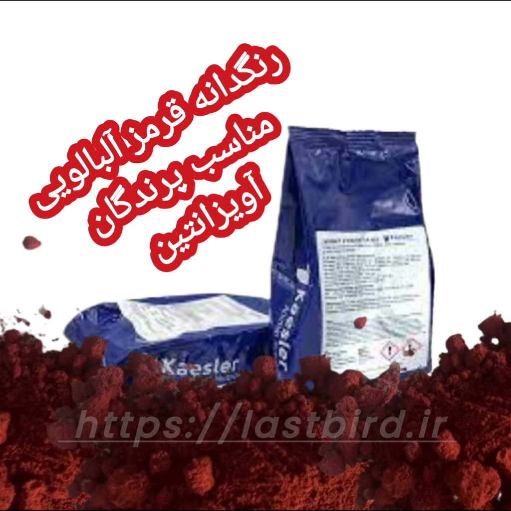 رنگدانه پرندگان آویزانتین Kaesler قرمز آلبالویی