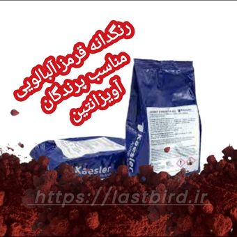 رنگدانه پرندگان آویزانتین Kaesler قرمز آلبالویی