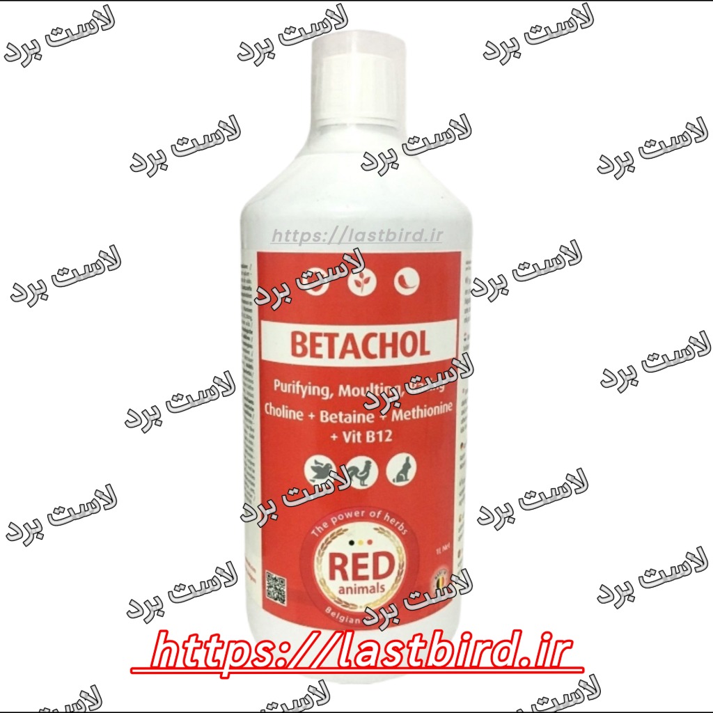 بتاکول کبدشور Red Animals بلژیک | BETACHOL حیوانات قرمز بلژیک