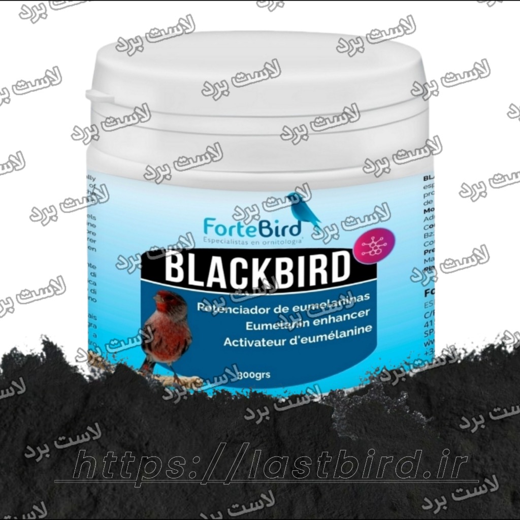 رنگدانه مشکی BLACKBIRD فورت‌برد اسپانیا