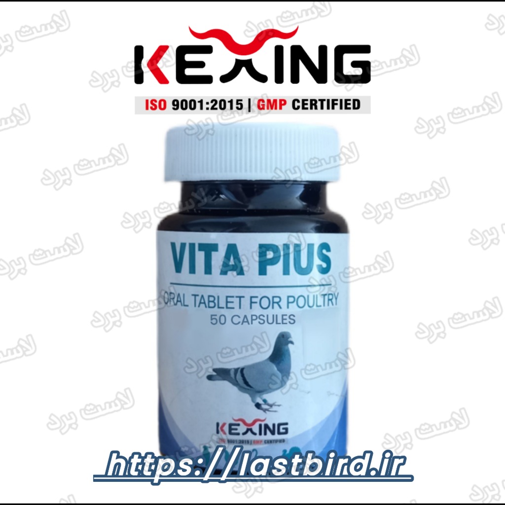 ویتاپلاس VITA PLUS ککسینگ