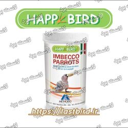 غذا دستی جوجه طوطیسانان هپیبرد ایتالیا