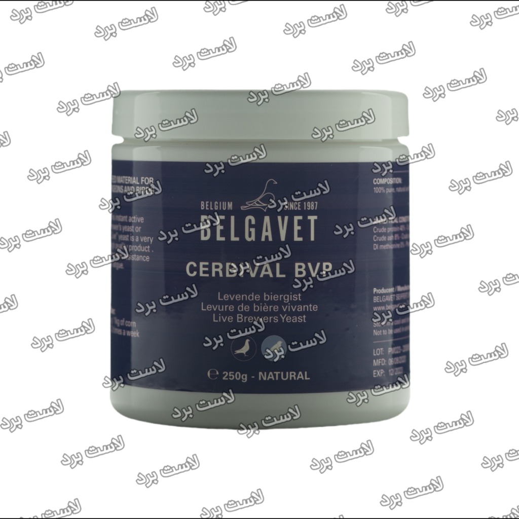 CERBIVAL BVP بلگاوت بلژیک | مخمر آبجو کبوتر سربیوال