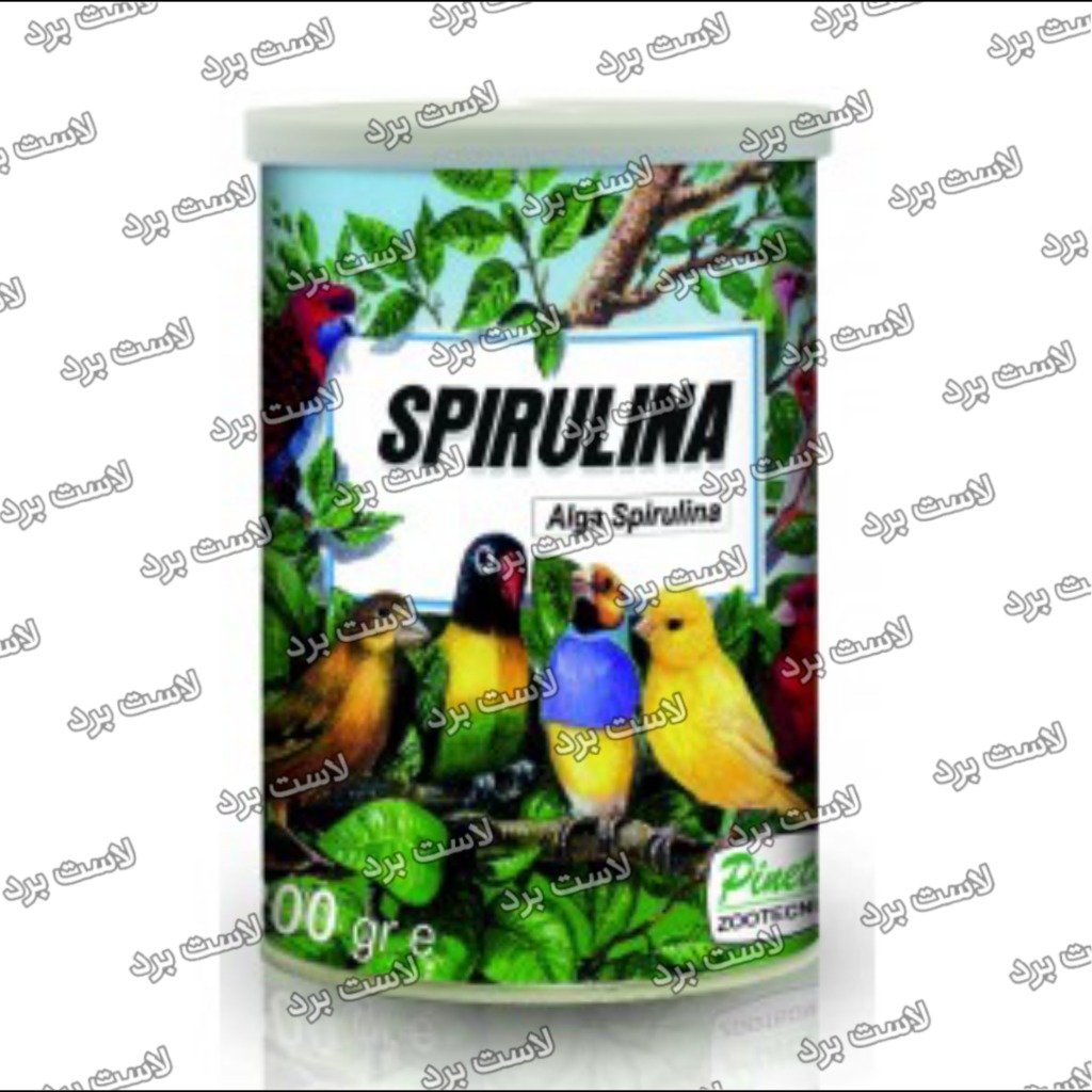 جلبک اسپرولینا SPIRULINA پینتا ایتالیا | کاملترین مکمل طبیعی پرندگان
