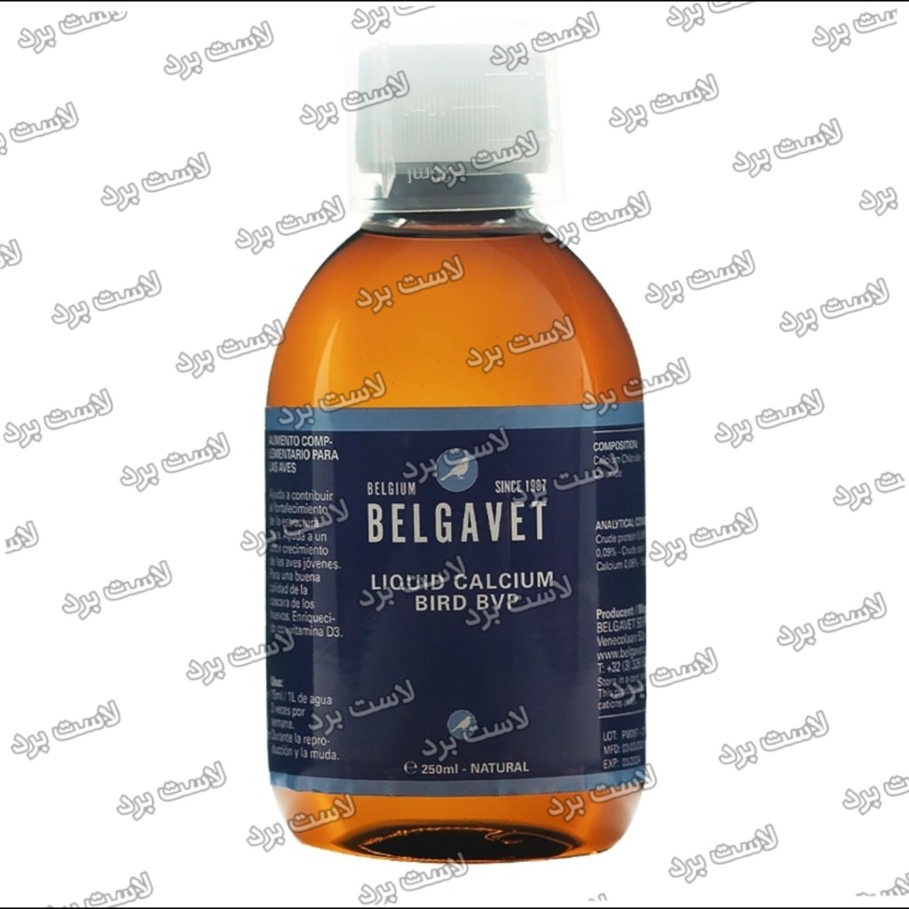 CALCIUM BIRD BVP بلگاوت بلژیک | کلسیم کامل پرندگان