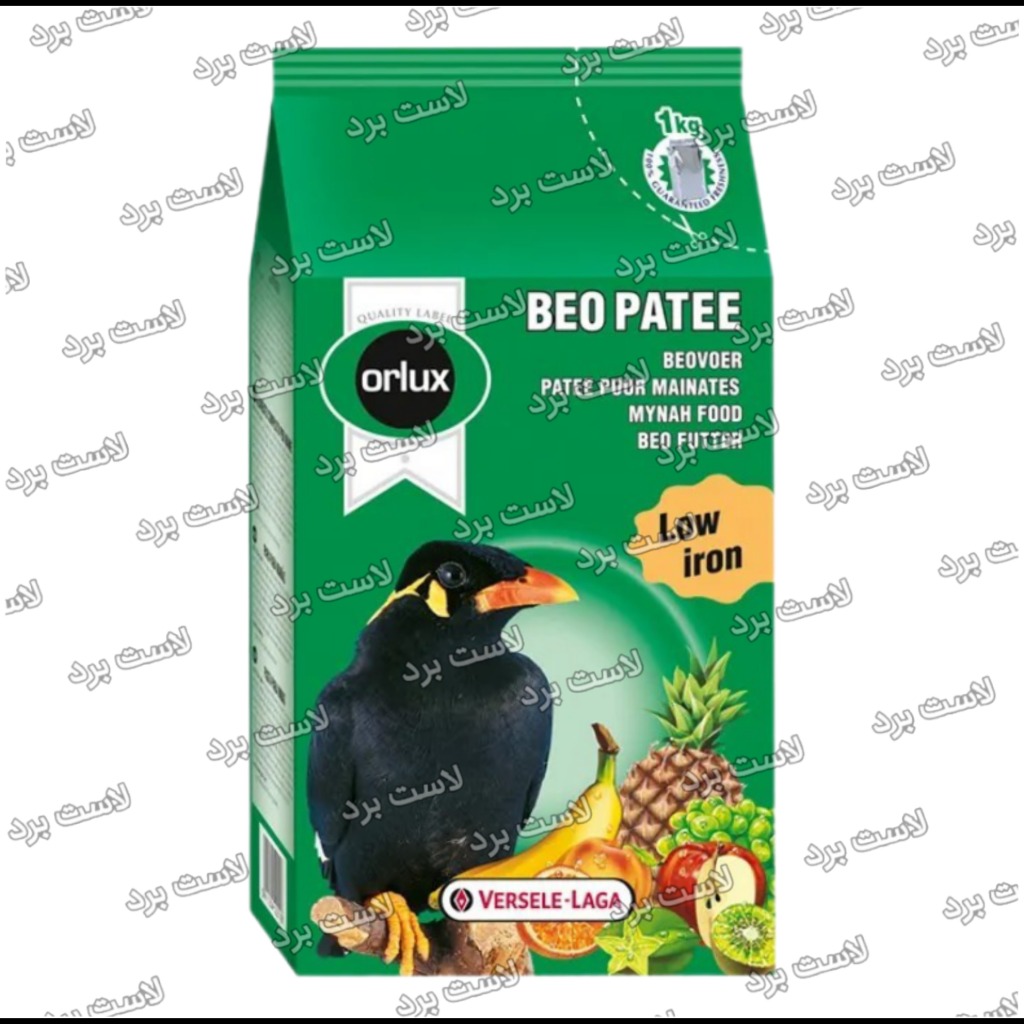 Versele-Laga BEO PATEE Orlux | پته میوه‌ای مرغ‌مینا ورسلاگا بلژیک | غذا اورلوکس