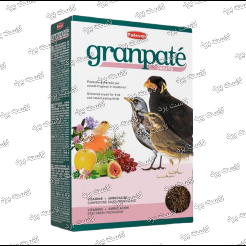 غذا میوه‌ای مرغ مینا granpate پادوان ایتالیا