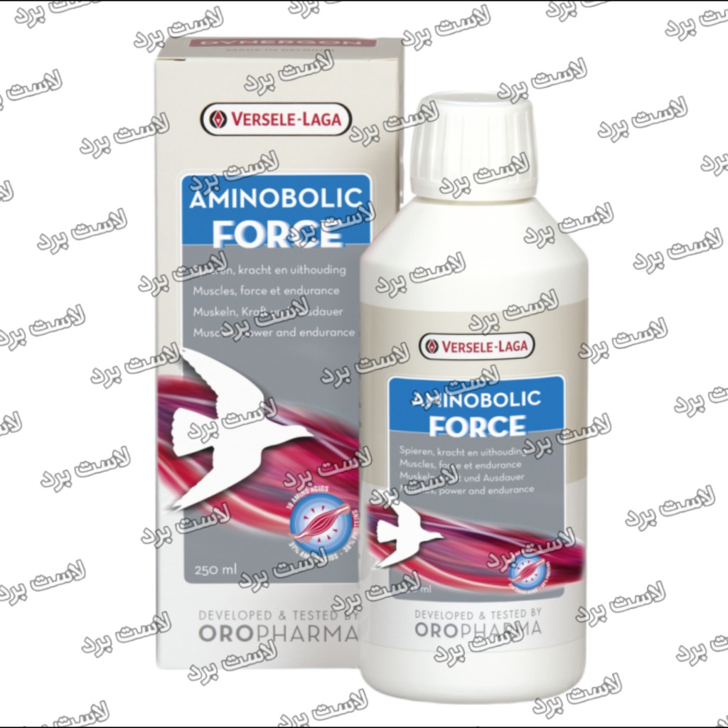آمینوبولیک AMINOBOLIC FORCE ورسلاگا بلژیک