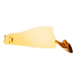 چراغ خواب اردک نالان