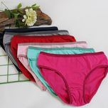 شورت زنانه مدل نهال ساده کد ZP54 مجموعه 6 عددی