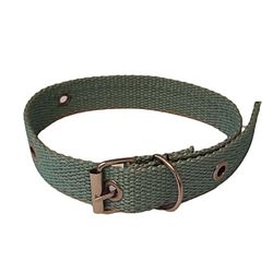 قلاده سگ مدل AbFi 2.5cm