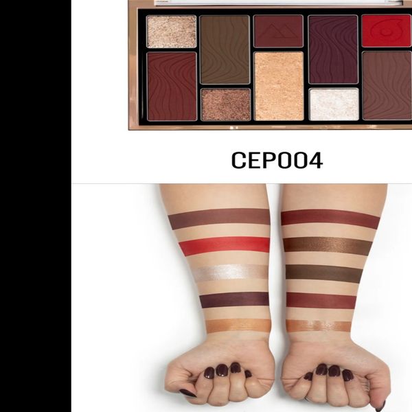 پالت سایه 10 رنگ CHARACTER