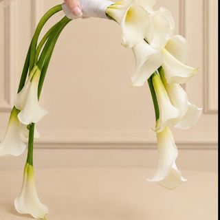 دسته گل عروس شیپوری سفید