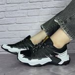 مدل‌سالامون | SALAMON | کد: 53