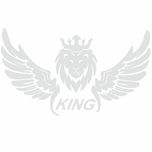 برچسب بدنه ی خودرو طرح بال کد SB101