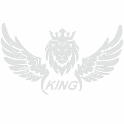 برچسب بدنه ی خودرو طرح بال کد SB101
