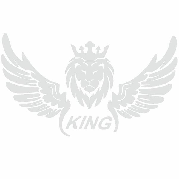 برچسب بدنه ی خودرو طرح بال کد SB101