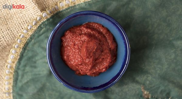 رب گوجه فرنگی روژین مقدار 800 گرم