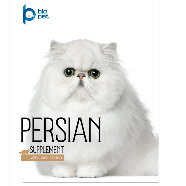 مکمل گربه پرشین بایو پت مدل Persian وزن 400 گرم