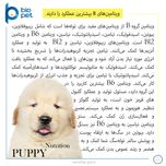 مکمل توله سگ بایو پت مدل Puppy وزن 400 گرم