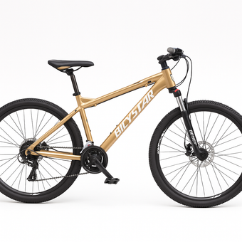 🚴‍♂ دوچرخه کوهستان BICYSTAR سایز 26 – ترمز هیدرولیک 🚴‍♀