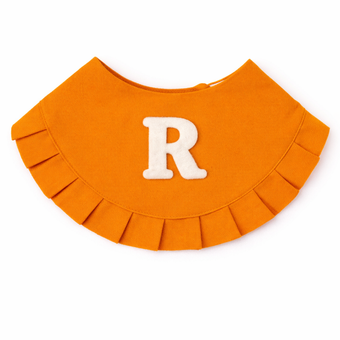 دستمال گردن سگ و گربه با حرف انگلیسی نارنجی | مدل شخصی‌سازی اسم پت