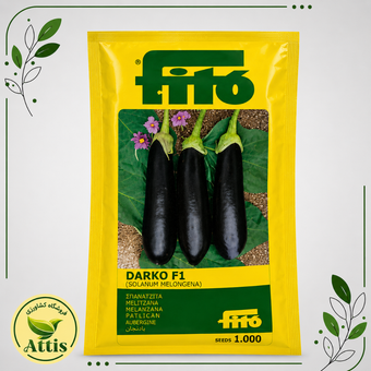 بذر بادمجان دارکو DARKO F1