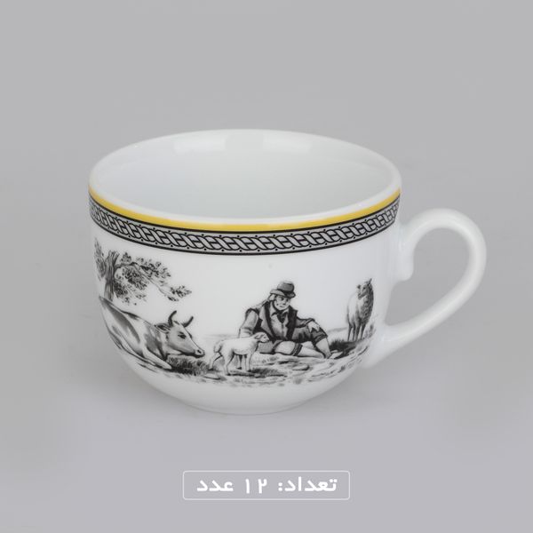 سرویس چینی 102 پارچه غذا خوری چینی زرین ایران سری ایتالیا اف مدل ویلیج درجه یک