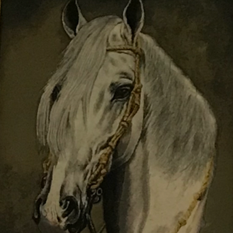 تابلوفرش دستبافت تبریز کله اسب سفید