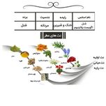 ادو پرفیوم مردانه ایفوریا مدل CHANEL - Egoiste Platinum با رایحه خنک حجم 100 میلی لیتر