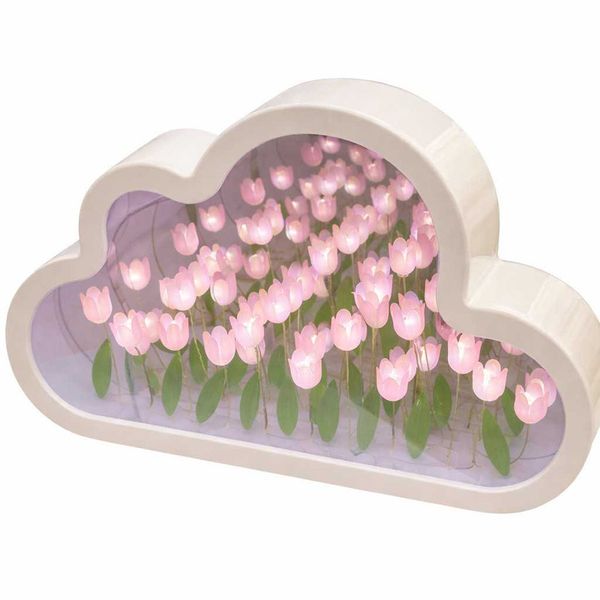 آباژور دشت لاله بینهایت ابری